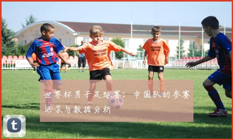 世界杯男子足球赛:中国队的参赛记录与数据分析