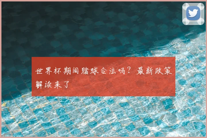 世界杯期间赌球合法吗?最新政策解读来了