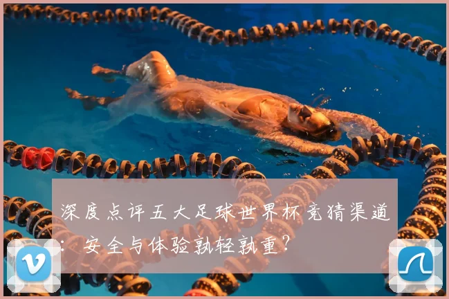 深度点评五大足球世界杯竞猜渠道:安全与体验孰轻孰重?