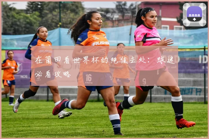 在莆田看世界杯的绝佳去处：球迷必看攻略