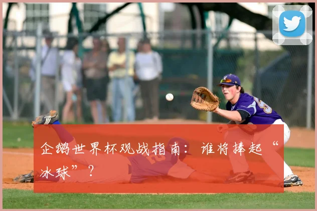 企鹅世界杯观战指南:谁将捧起“冰球”?