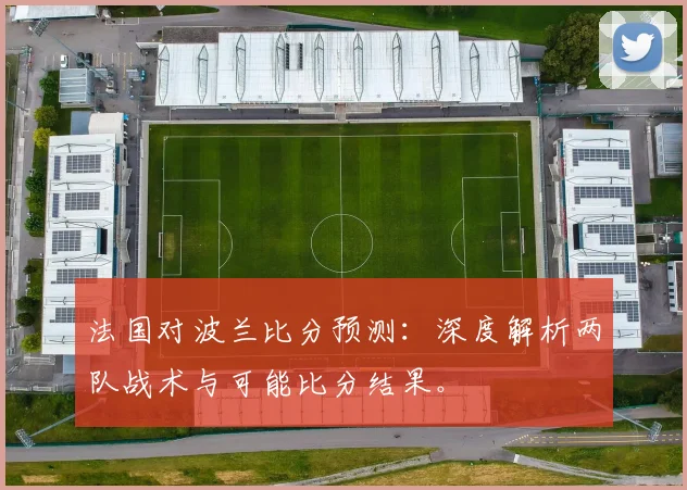 法国对波兰比分预测：深度解析两队战术与可能比分结果。