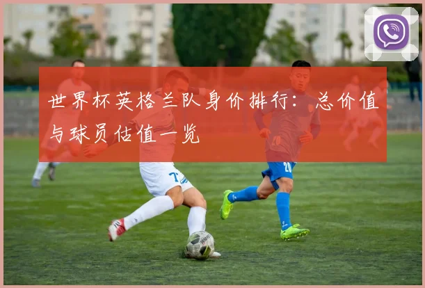 世界杯英格兰队身价排行：总价值与球员估值一览