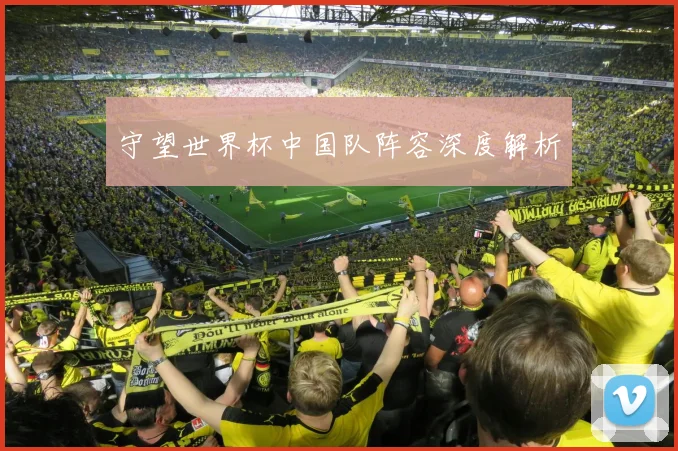守望世界杯中国队阵容深度解析