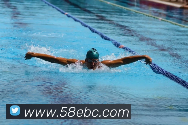 米兰官网首页入口服务体系